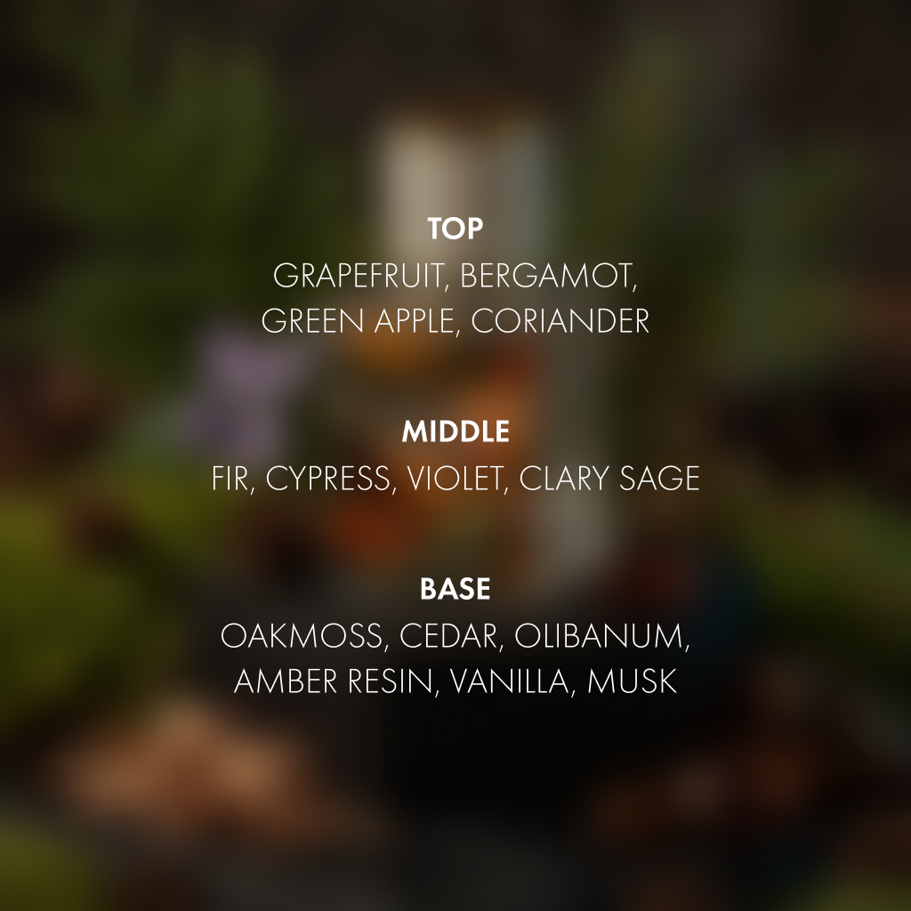 Evergreen Ambers