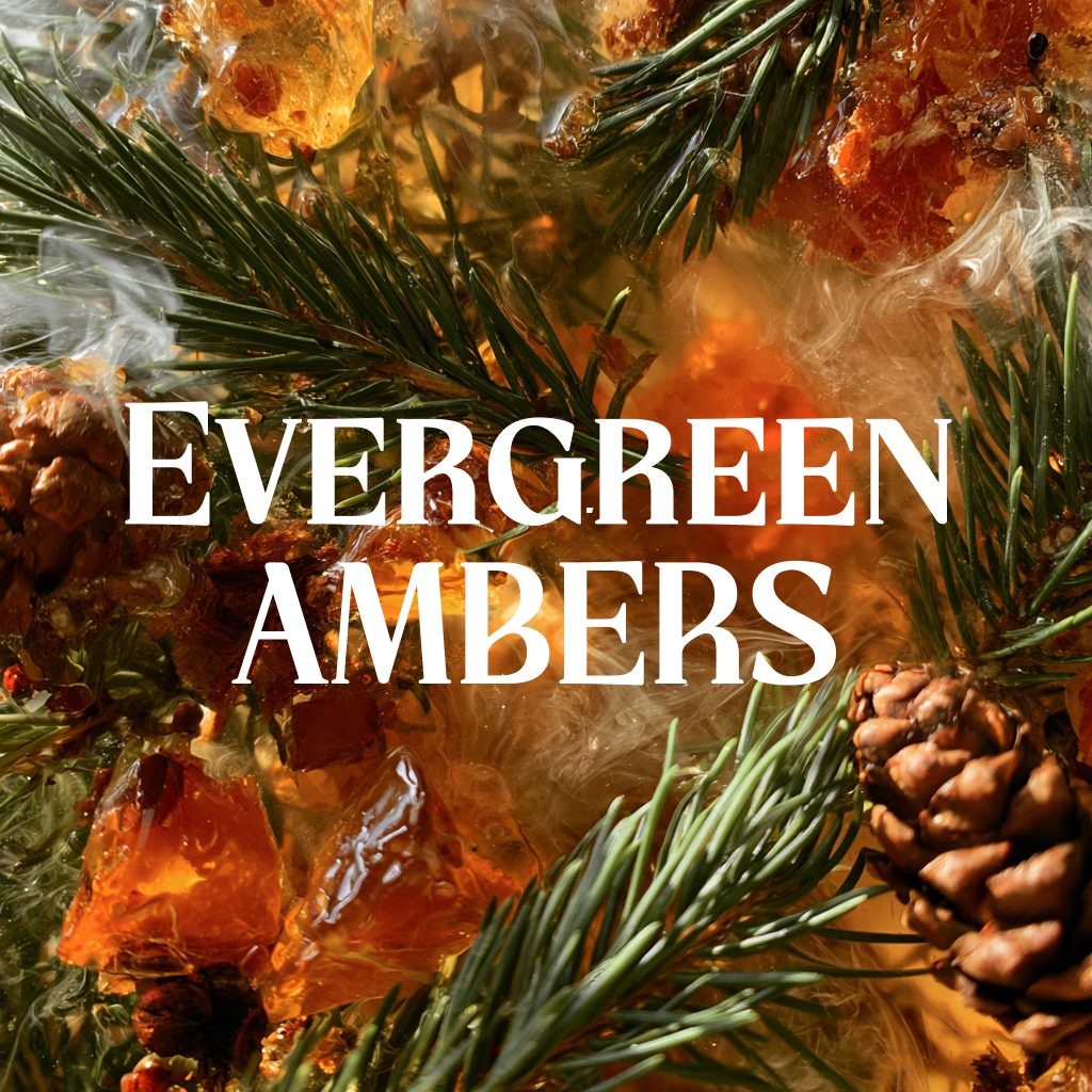 Evergreen Ambers
